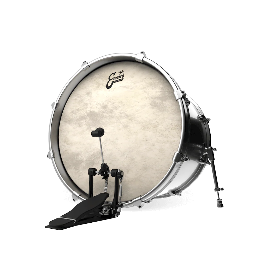 Evans Calftone Bass - Image 2