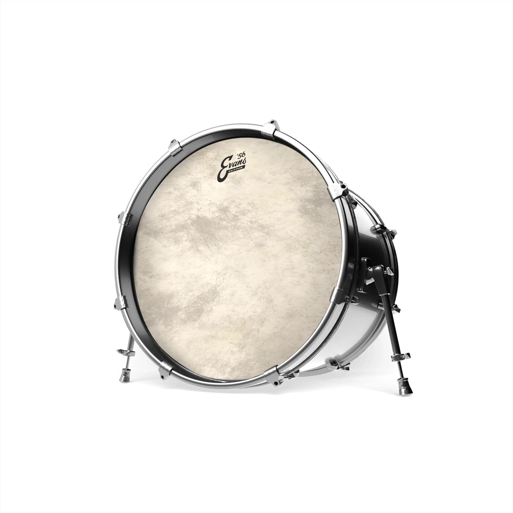 Evans Calftone Bass - Image 3
