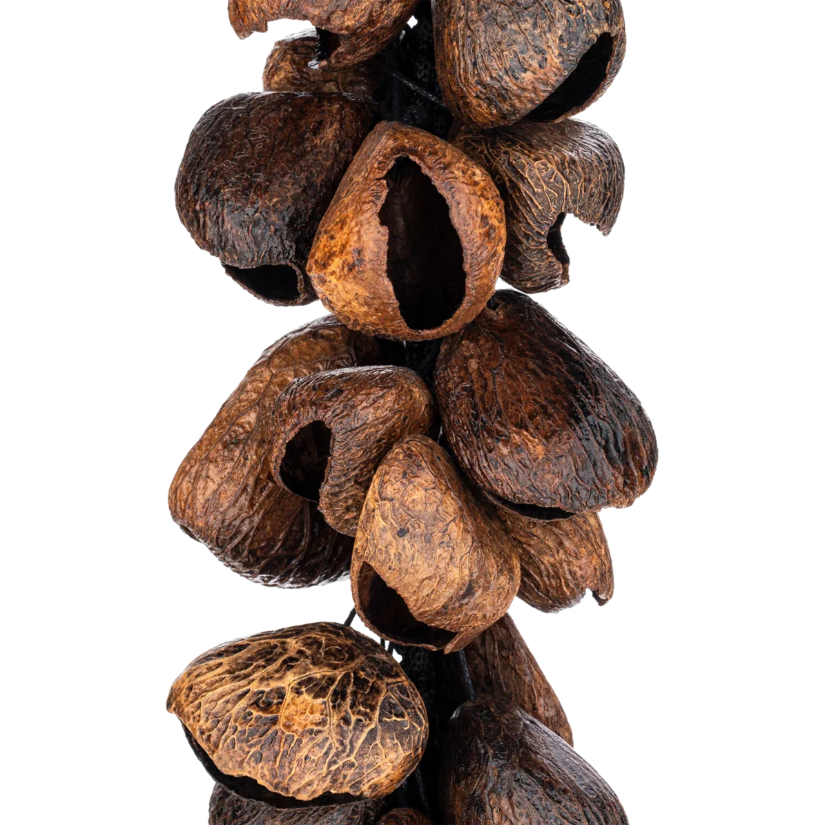 Meinl Percussion Bendo seed nutshell Waterfall - Image 2