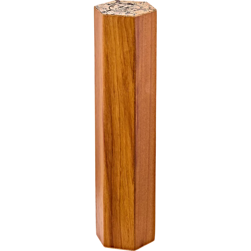 Meinl Sonic Energy Rainmaker Iroko (approx. 15 min)