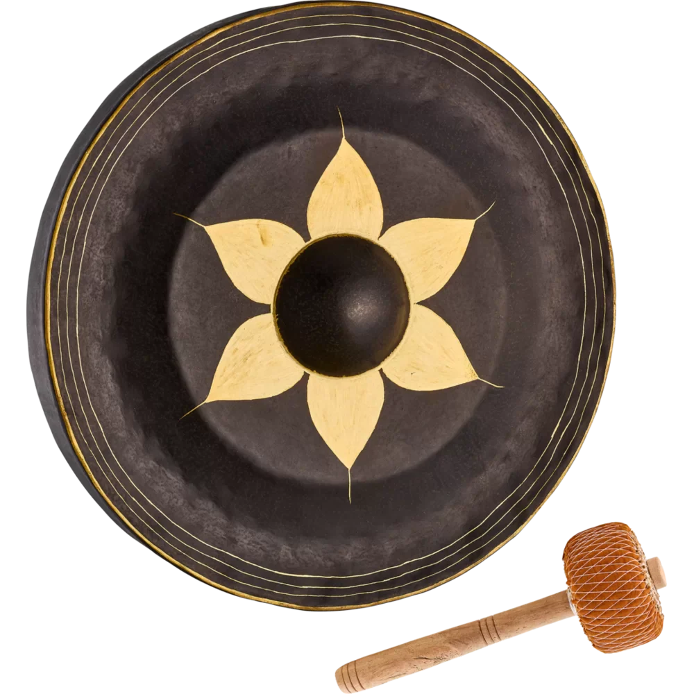 Meinl Sonic Energy Thai Gong 22in - Image 3