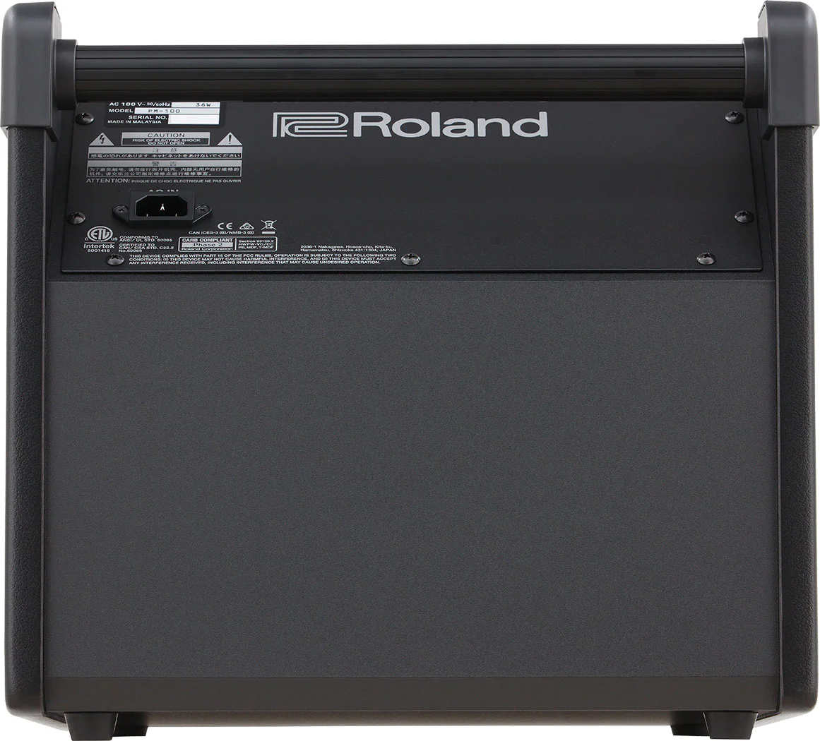 Roland Personal Monitor PM-100 - Image 2