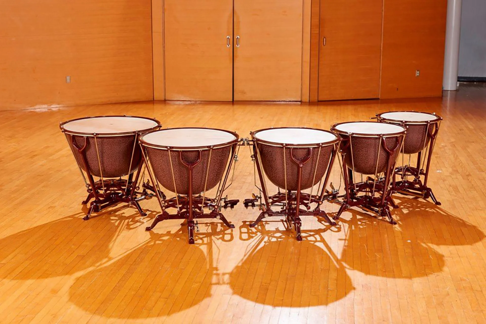 Adams Vintage Dresden timpani Kalfo heads no wheels 23-26-29-32in - german - Image 5